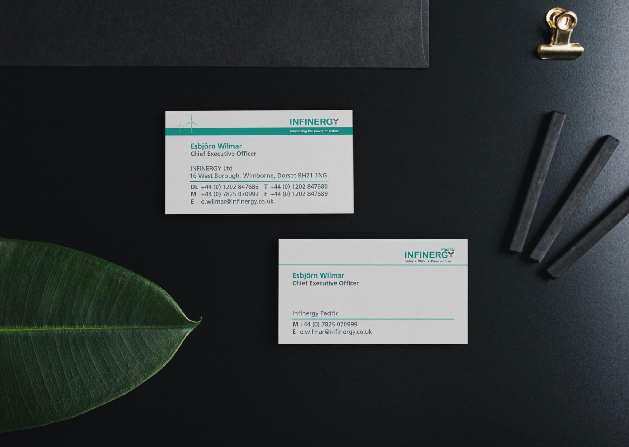 Dual Purpose Business Card Design And Print