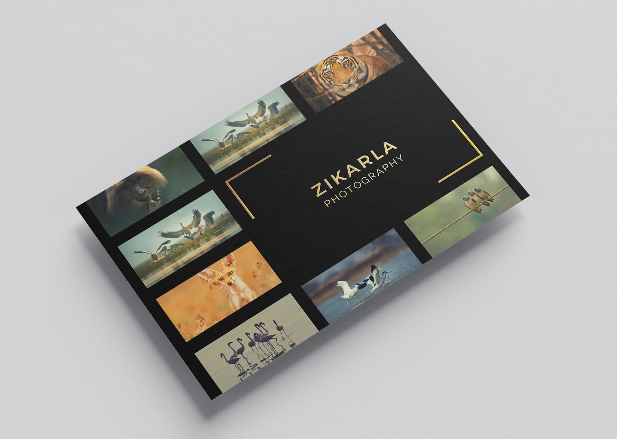 A Z Design And Print Services Scodix Postcards